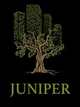 Logo Juniper Conseil